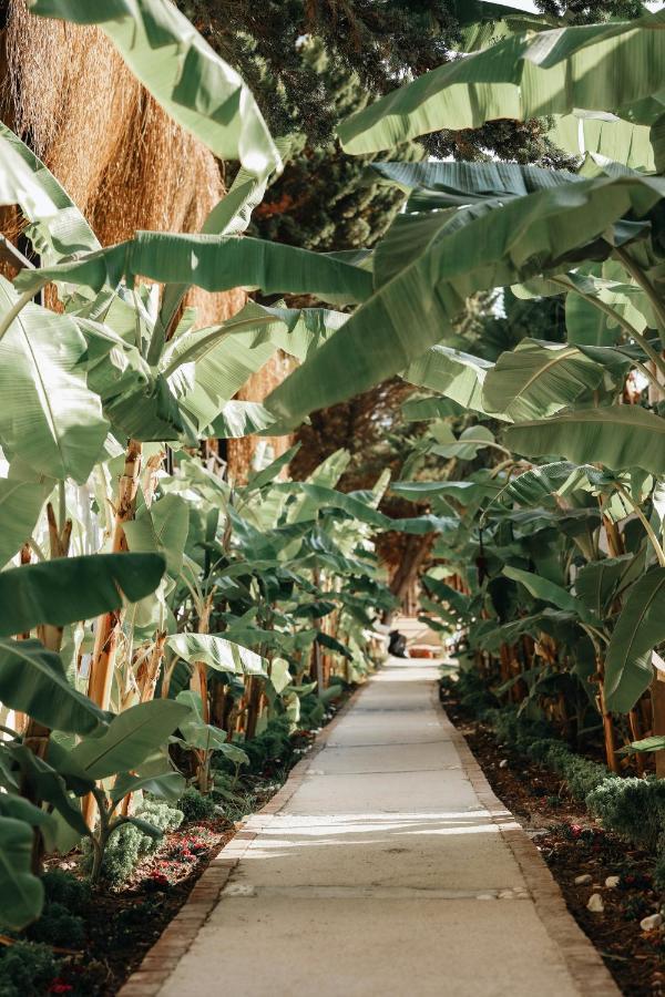 Maja Luxury Cesme Hotel Bagian luar foto